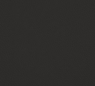 Gris foncé