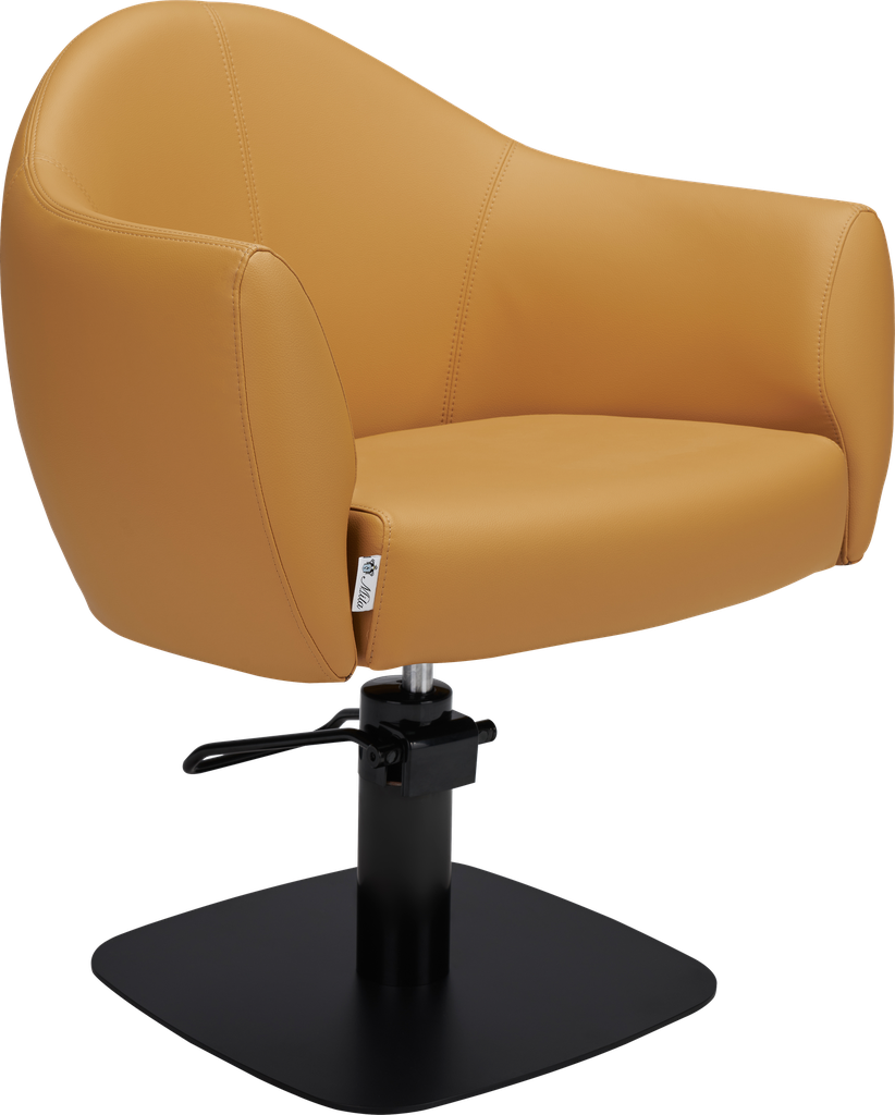 BEA Hairdressing chair