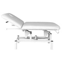 Table NS268A avec moteur électrique 3